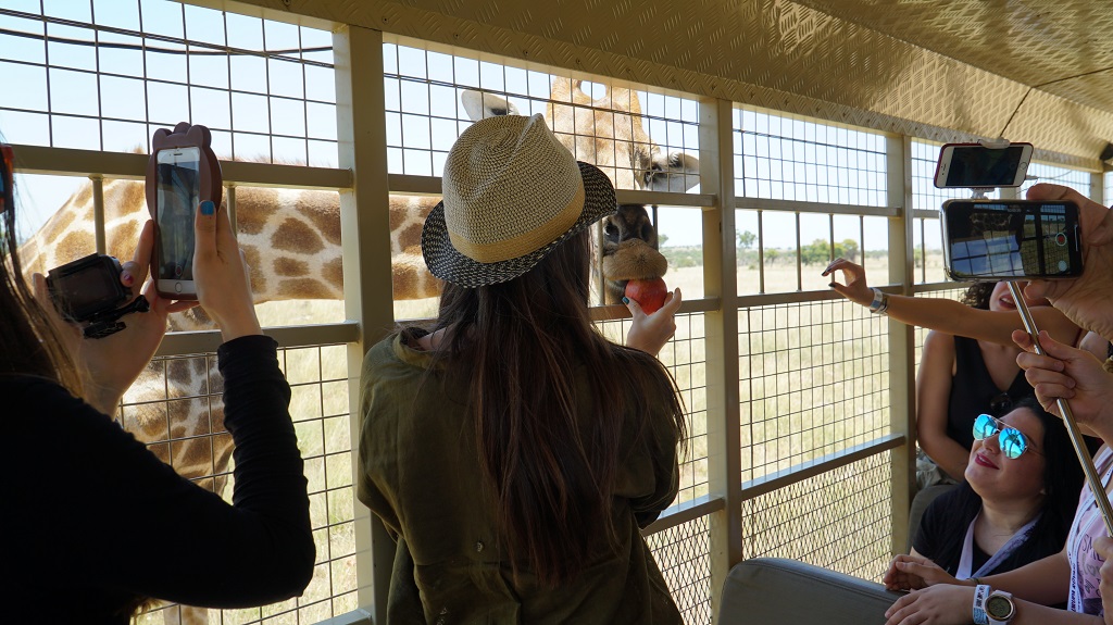 avrupa rüyası afrika turu safari 1
