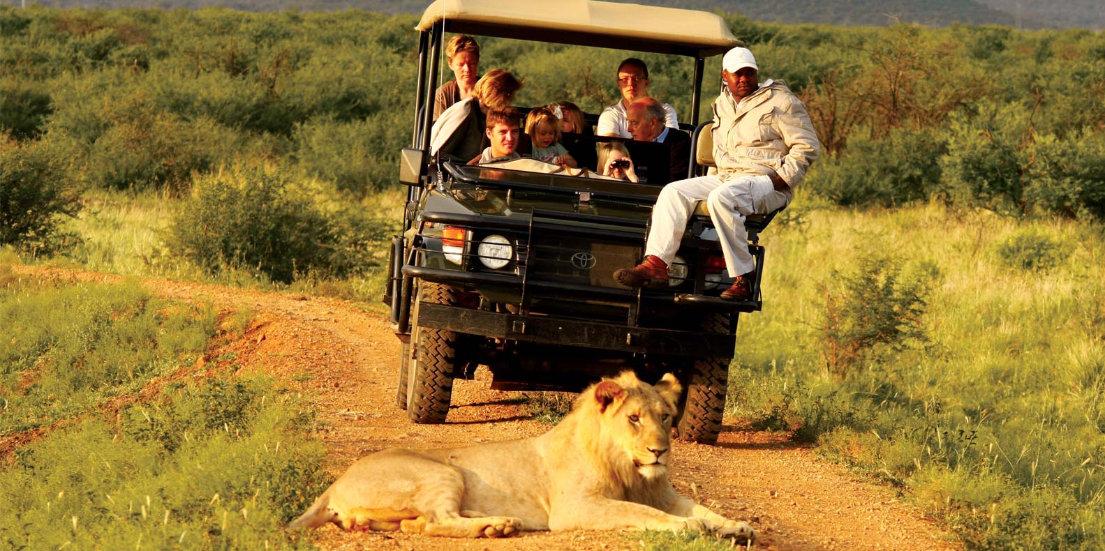 avrupa rüyası afrika turu safari