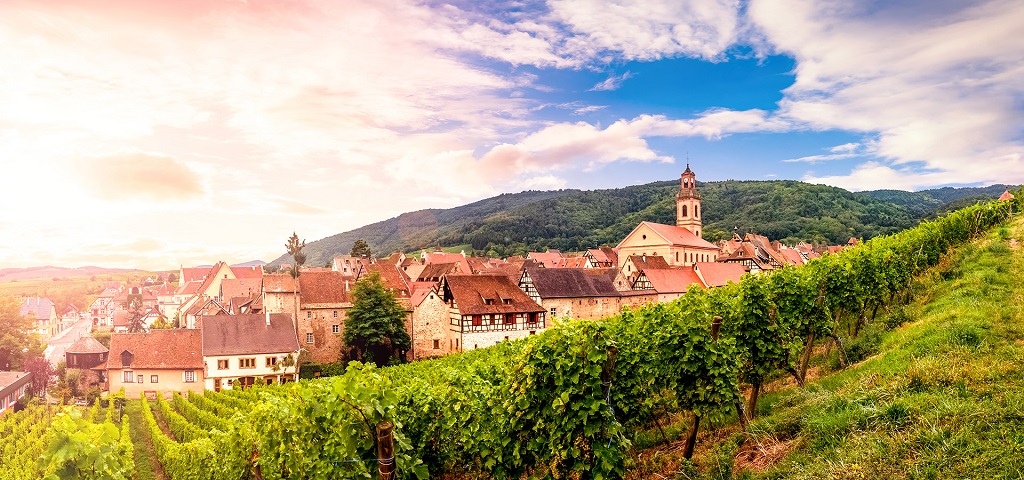 fransa-eguisheim-üzüm-bağları